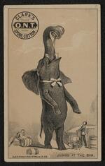 Trade card: Set of nine trade cards featuring Jumbo the Elephant (card 6)