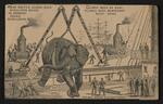 Trade card: Set of four trade cards featuring Jumbo the elephant (card 3)